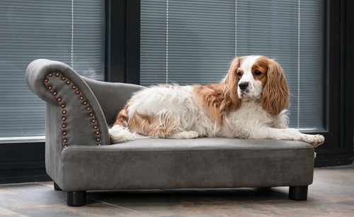 Sedia letto cane gatto chaise - sedia,